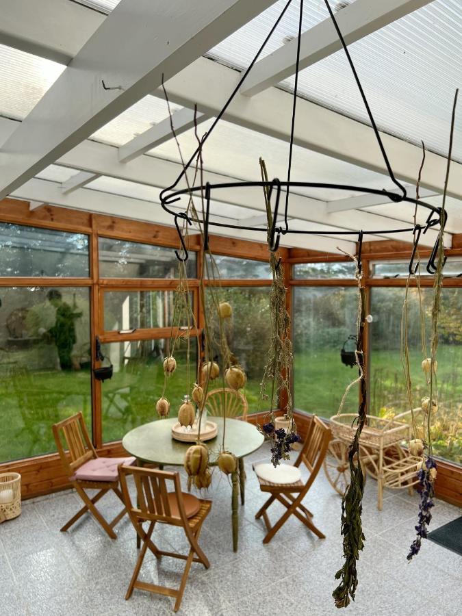 House With A Magical Garden And Sunroom Hofn Exterior photo